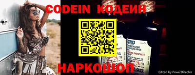 СК Боровичи