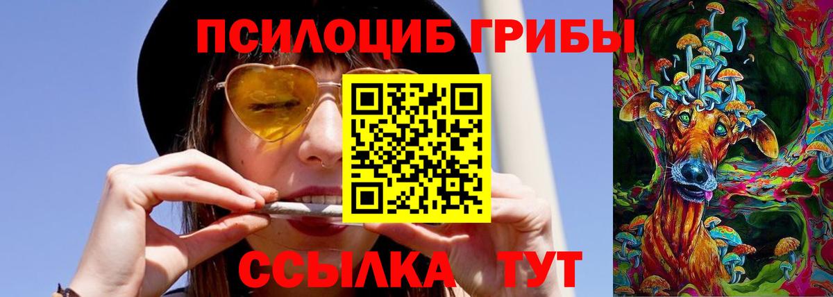Галлюциногенные грибы прущие грибы  Вход с VPN  Боровичи 